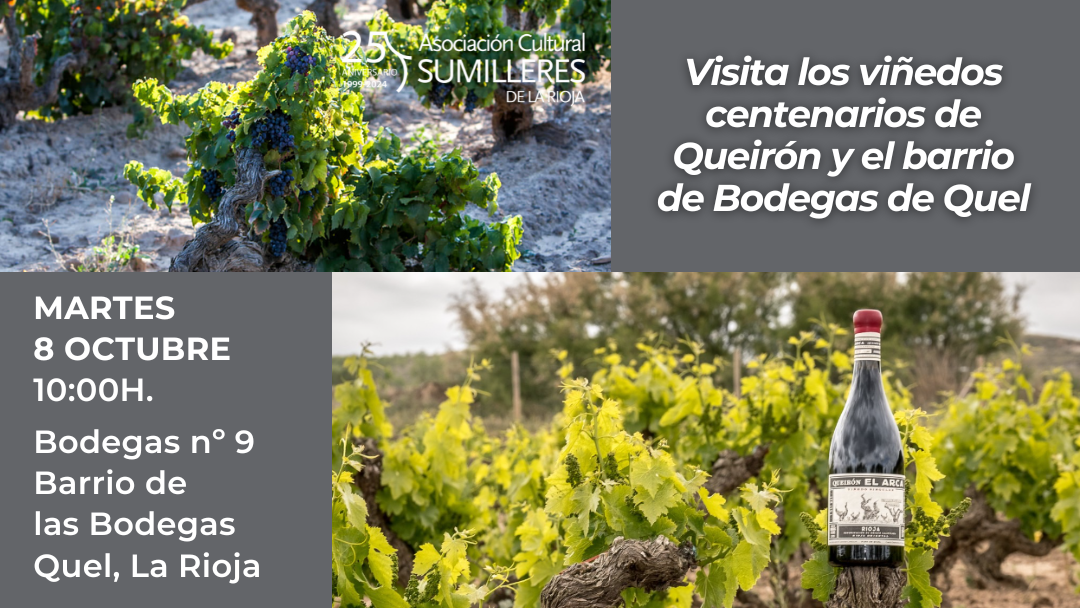 visita-los-vinedos-centenarios-de-bodegas-queiron-y-el-barrio-de-bodegas-de-quel